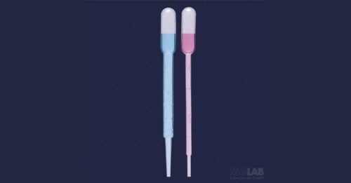 PASTÖR PİPET-P.P- 3ML NON-STERİL 100 ADET